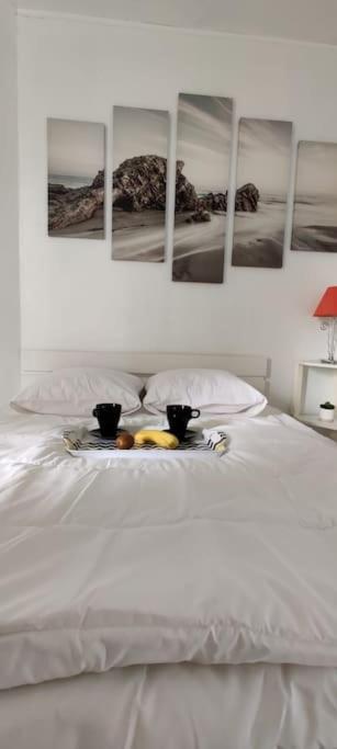 Appartement Chez Emy & Tom à Cabourg Extérieur photo